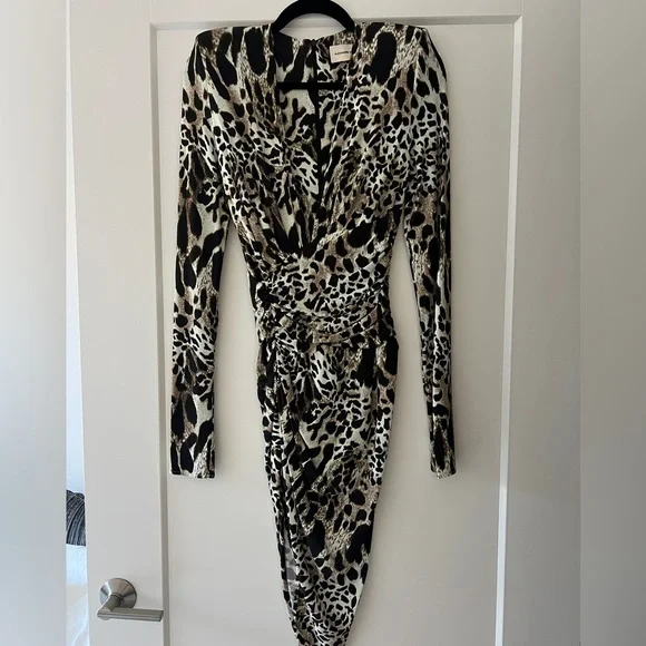 Alexandre Vauthier Leopard Dress! - Picture 4 of 6